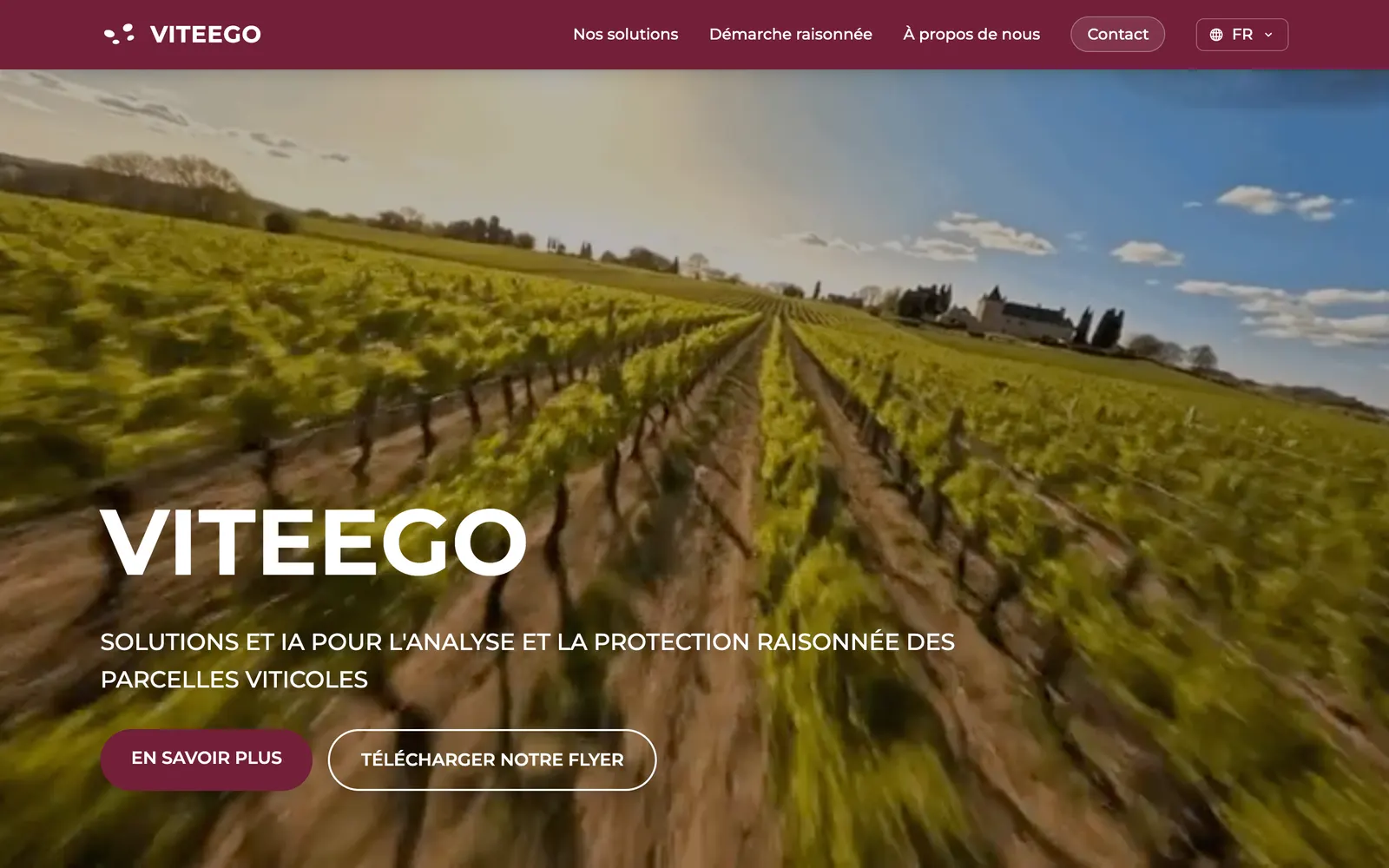VITEEGO