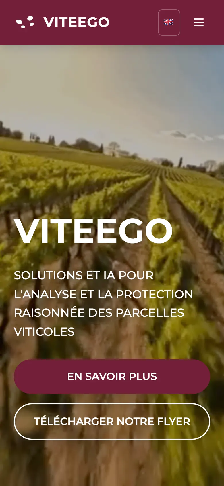 VITEEGO home page on mobile